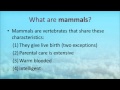 The Biology of Marine Mammals - Palomar Colle...