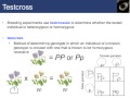 David Peters   BIOL M01 Introduction to Biolo...