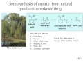 Akiko Allison Gotoh   CHEM103C Chemistry in a Changing World Online Lecture 11202012