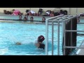 CIF Girls' Water Polo: LB Wilson vs Oran...