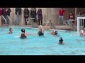 High School Water Polo: Long Beach Wilson vs....