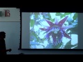 LBCC - "A Passion For Passion Flowers,...