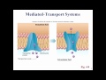 Lecture 3: Alexander Cheroske - Human Physiology