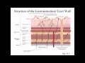 Lecture 15: Alexander Cheroske - Human Physiology