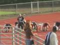 Mike Pyrtle wins the 100m dash at Santa Rosa in 10.86 Feb 20, 2009